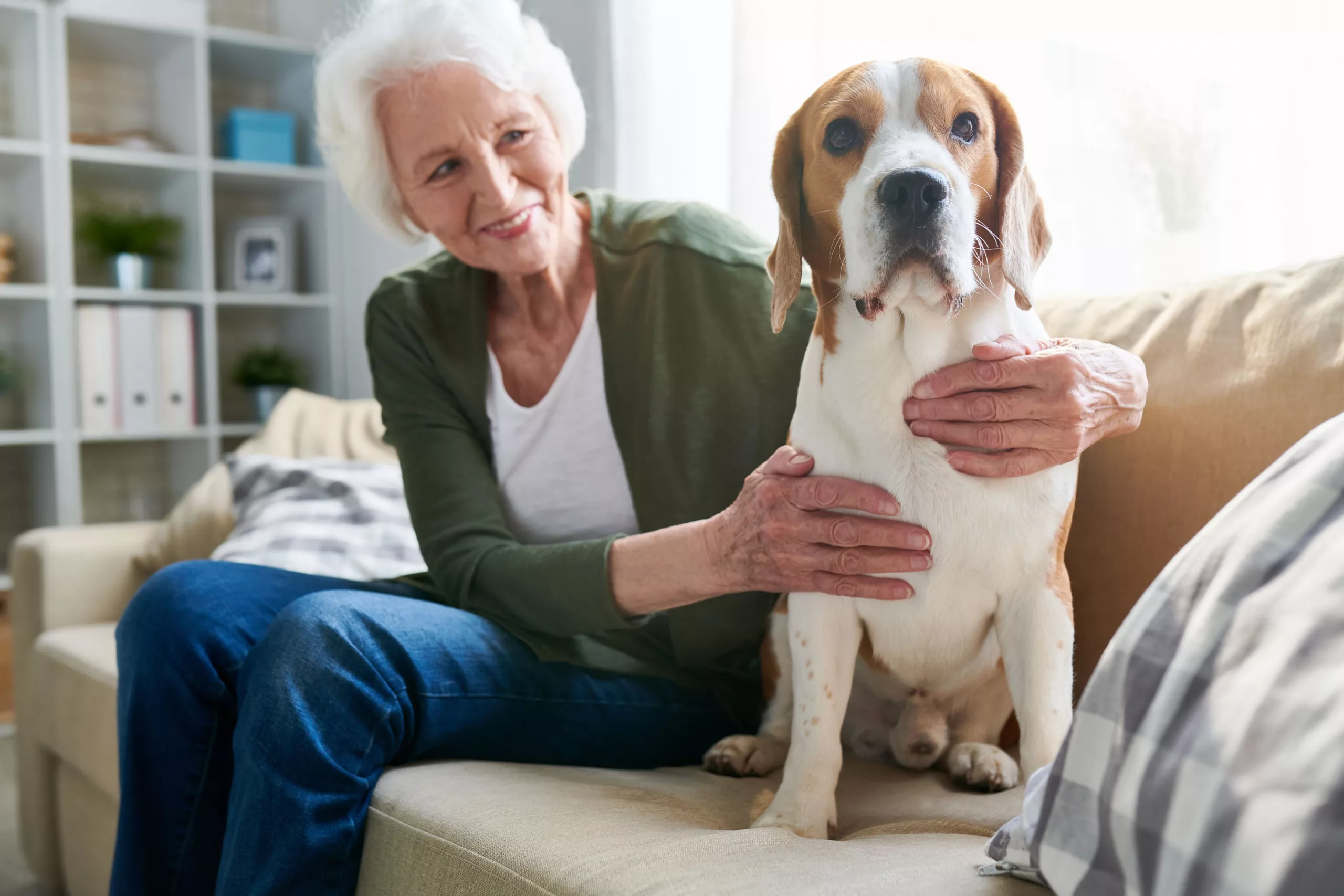 http://web-pretty-senior-woman-embracing-dog-2021-09-24-04-02-49-utc-reversed