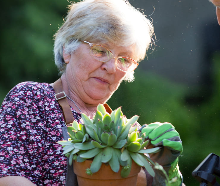 Support Services - True Care in New York - Social Work - Medical Transportation - Home Care