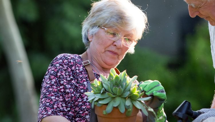 True Care Recreational  Engagement Program - Senior Care - True Care Home Care